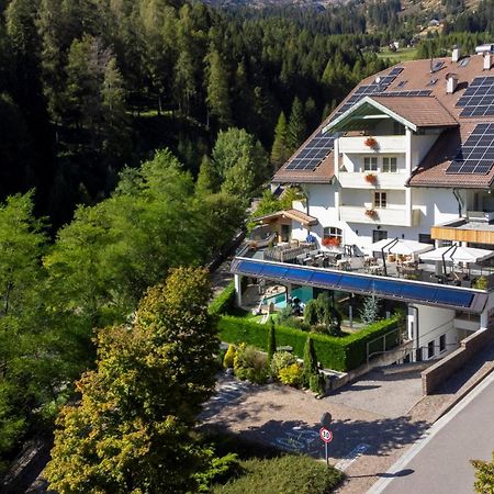 Hotel Erica Tesero Εξωτερικό φωτογραφία